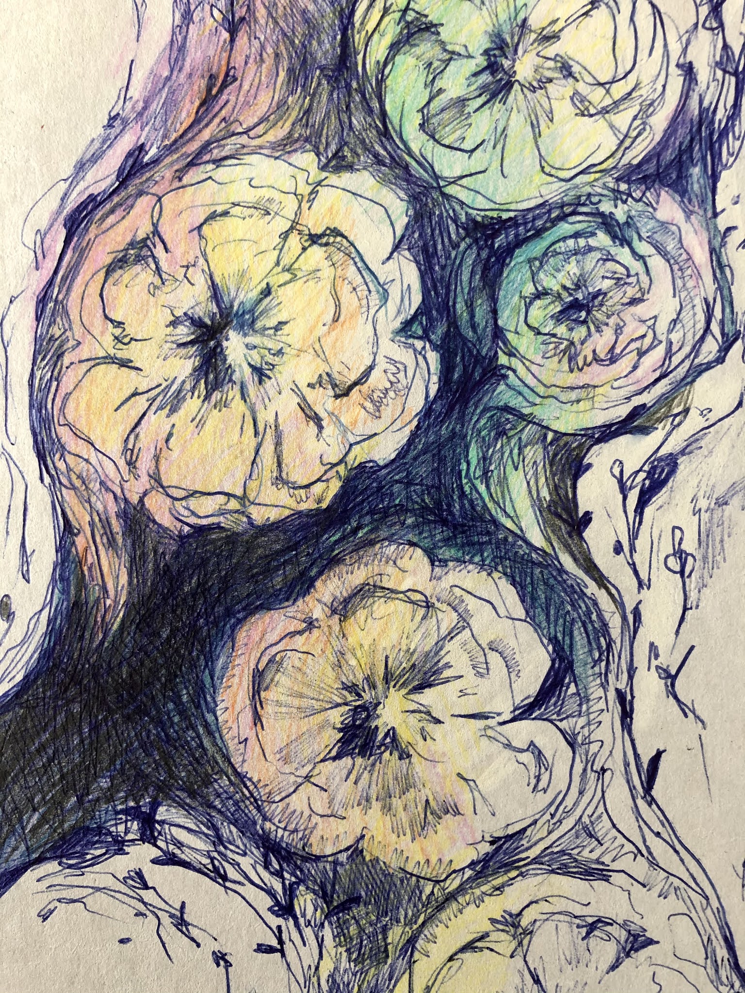 010 Kugelschreiber KritzeleiRosen