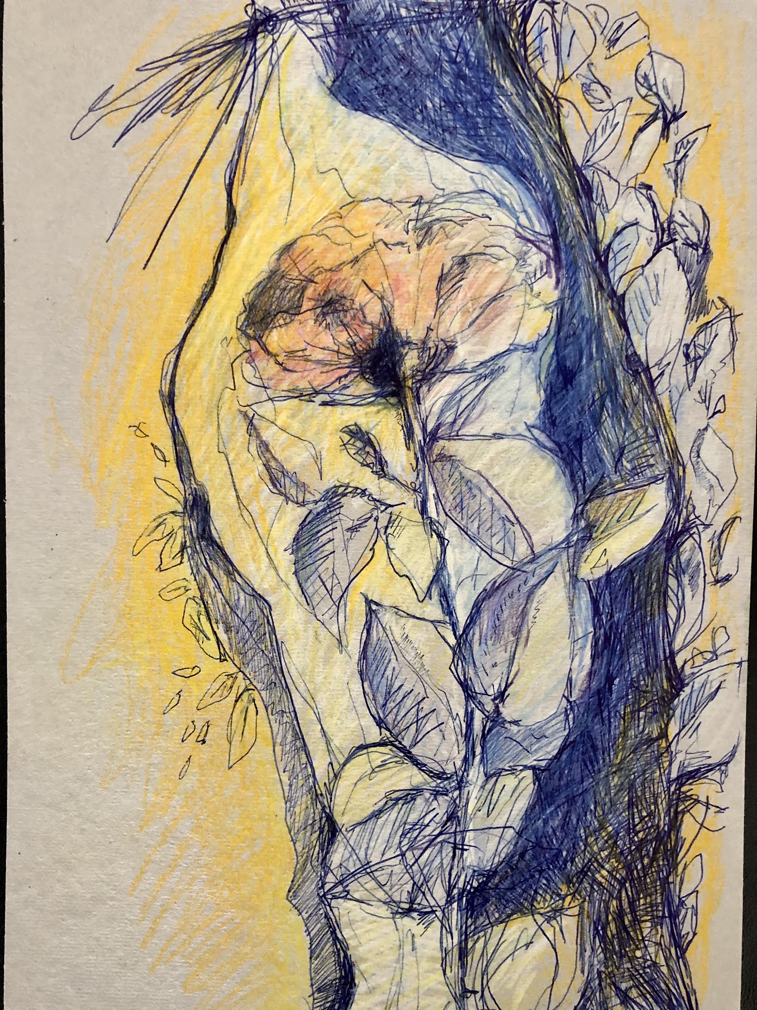 Kritzelei mit Kugelschreiber und Polychromos